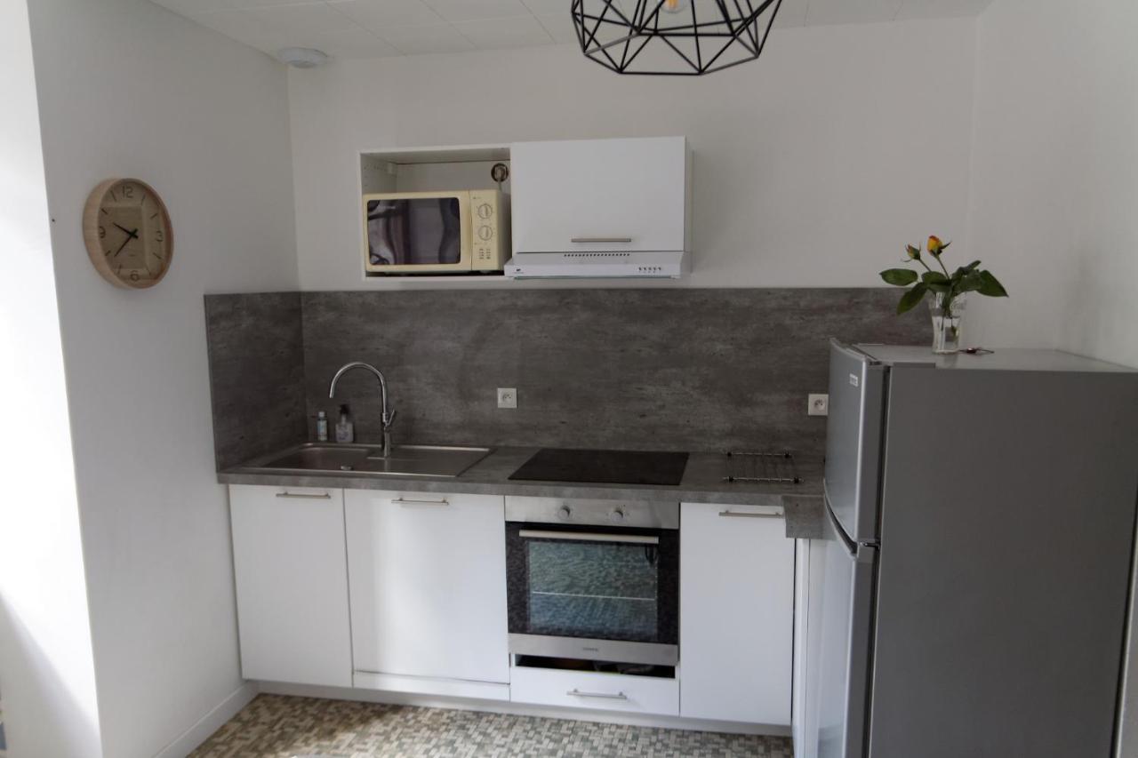 Villa Jean Julien - Le Sancy - Appartement T3 - 65M2 - 8 Personnes Мон-Дор Екстер'єр фото